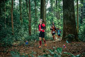 BIB: 
                            <button type="button" onclick="openModal(26133125)" class="btn btn-primary btn-sm float-right btn-popup" data-toggle="modal" data-target=".modal-high-quality">
                        <i class="fas fa-shopping-cart"></i> Add to Cart
                    </button>
                                            <button type="button" onclick="isThisMe(26133125, true)" class="btn btn-success btn-sm float-right btn-popup btn-isme hidden" data-toggle="tooltip" data-placement="bottom" title="นี่คือรูปของคุณใช่ไหม คลิกที่นี่เพื่อเอาเข้าอัลบั้ม">
                        <i class="fas fa-plus"></i> Add to album
                    </button>
                    <button type="button" onclick="isThisMe(26133125, false)" class="btn btn-warning btn-sm float-right btn-popup btn-isnotme hidden">
                        <i class="fas fa-ban"></i> Remove from album
                    </button>